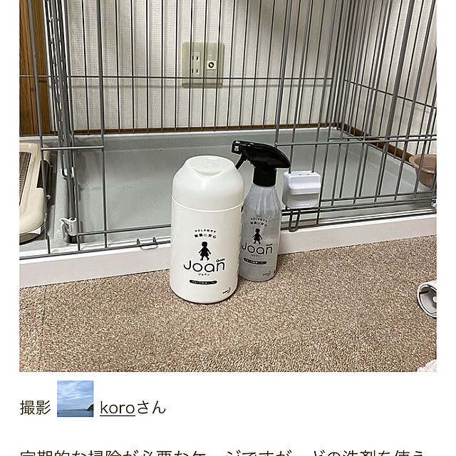 koroさんの部屋