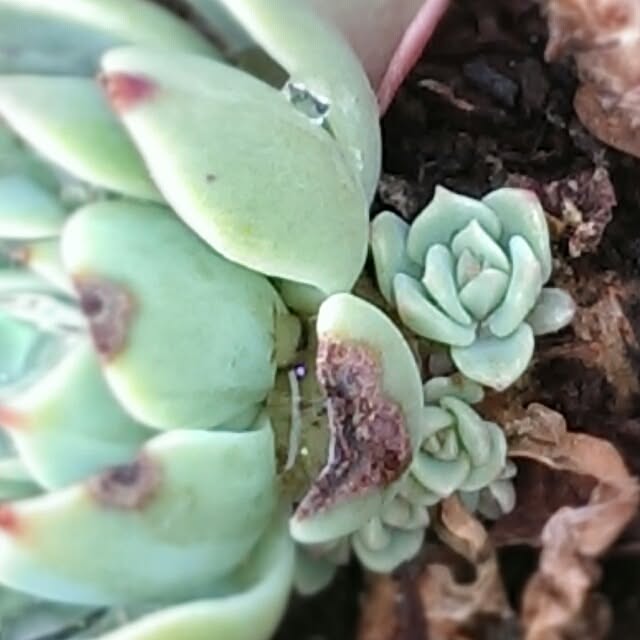 tibiさんの実例写真