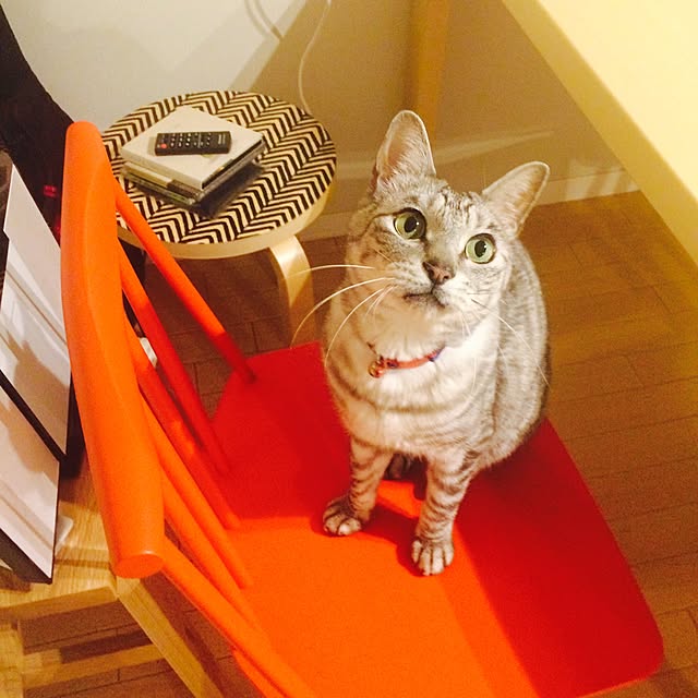Kyoukoさんの実例写真