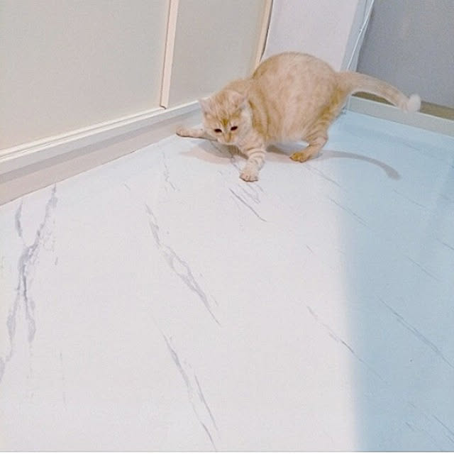 heart.emiemi57.whiteさんの実例写真