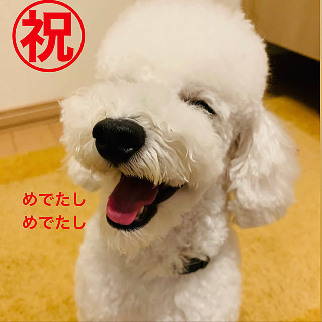 BUNさんの実例写真