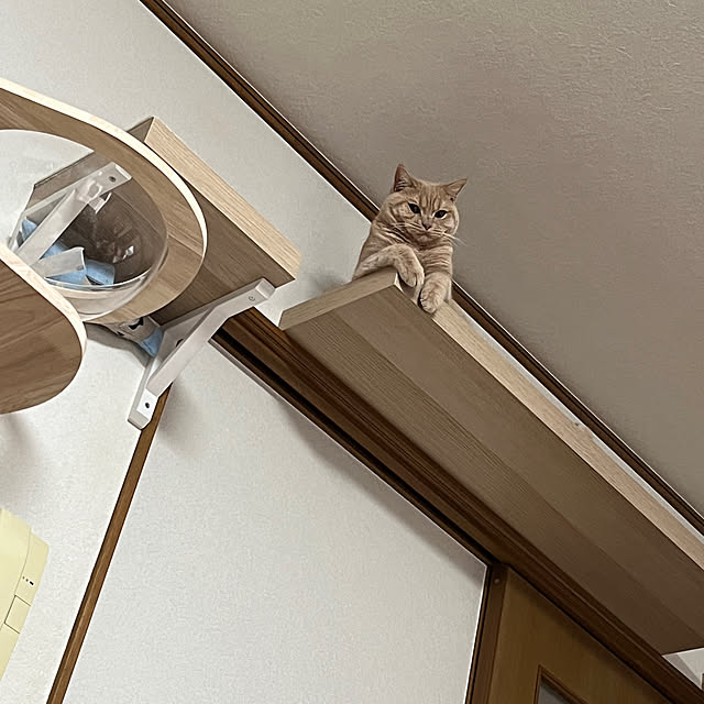 chachamaruさんの部屋