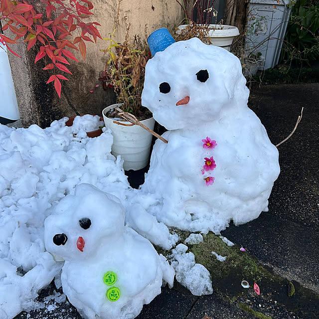 fumikoiさんの実例写真