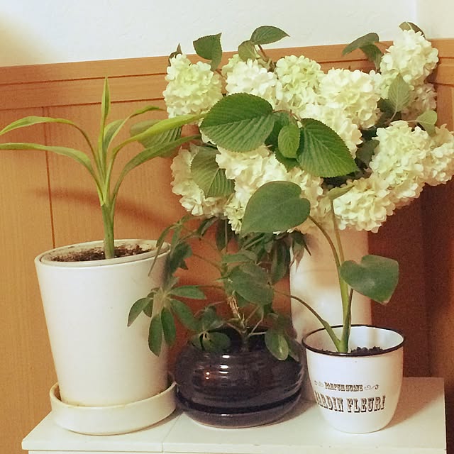 comoさんの実例写真