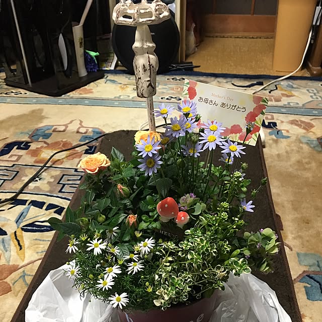 Ryosukiさんの実例写真