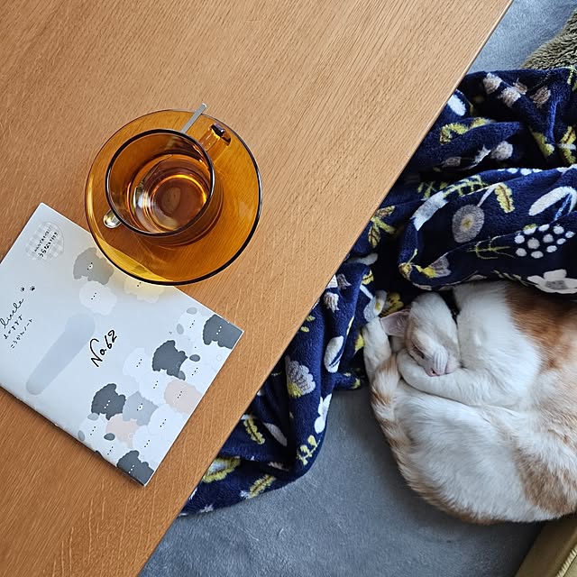 koyurizuさんの部屋