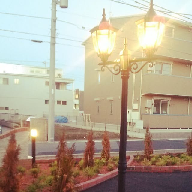 satopandabtさんの実例写真