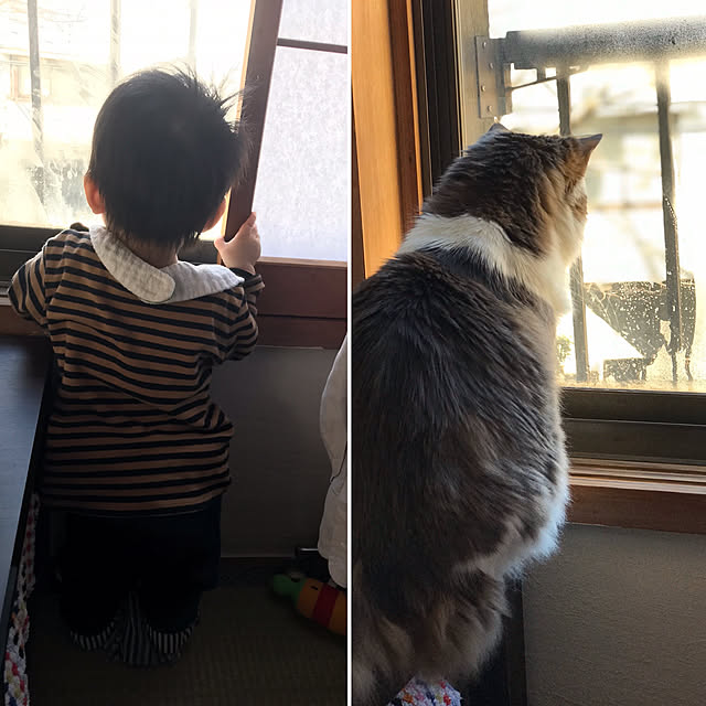 masakoさんの実例写真