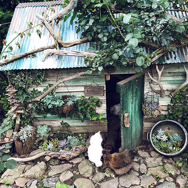 pepeさんの実例写真