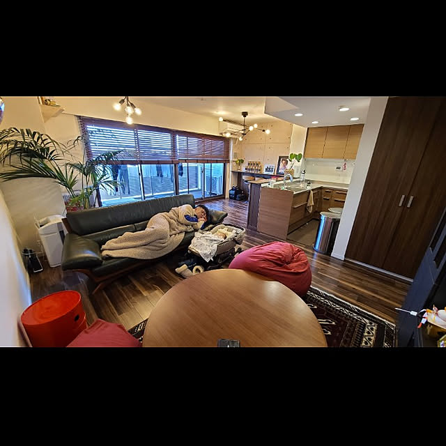 部屋全体のインテリア実例 - 2022-05-19 02:34:05