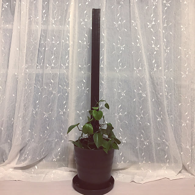 AOIさんの実例写真
