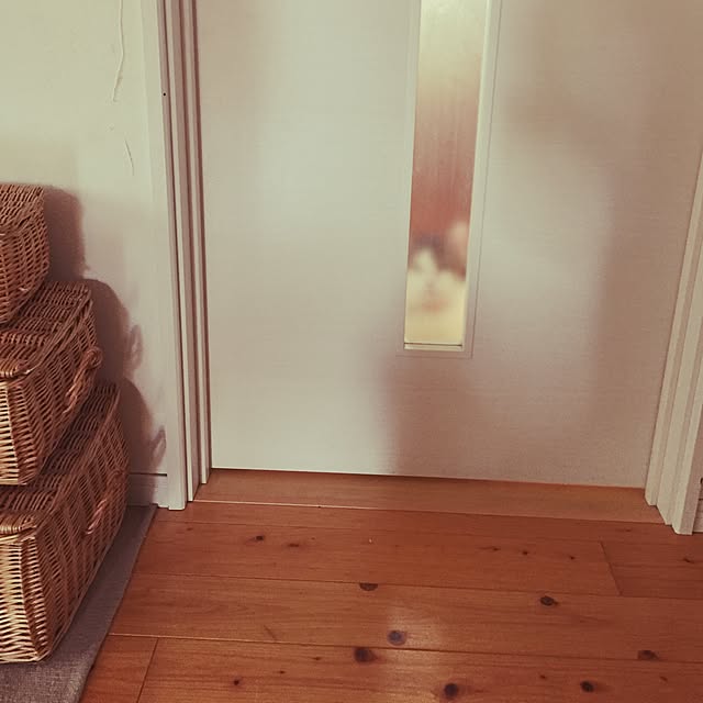 chiimalさんの実例写真