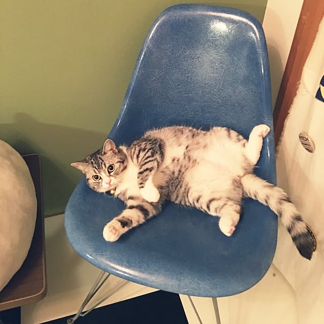 Shojiさんの実例写真