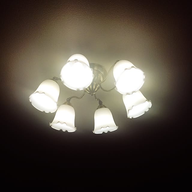 TOMY_tachikazeさんの実例写真
