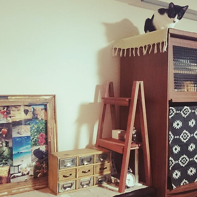saori0123さんの実例写真