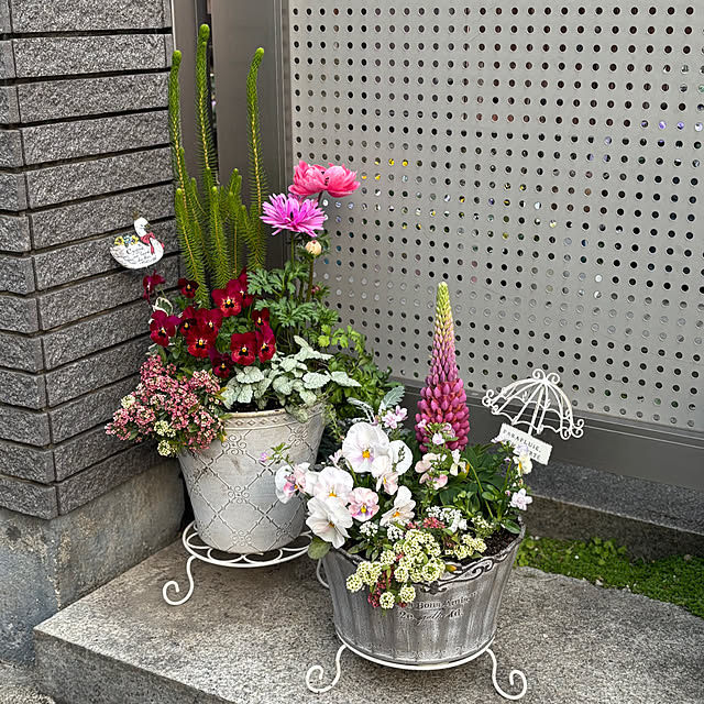 maayaさんの実例写真