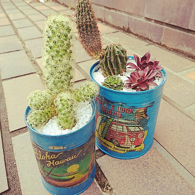 yonyonさんの実例写真