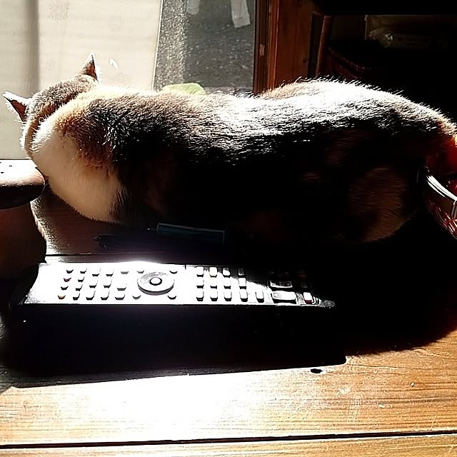 fukuさんの部屋
