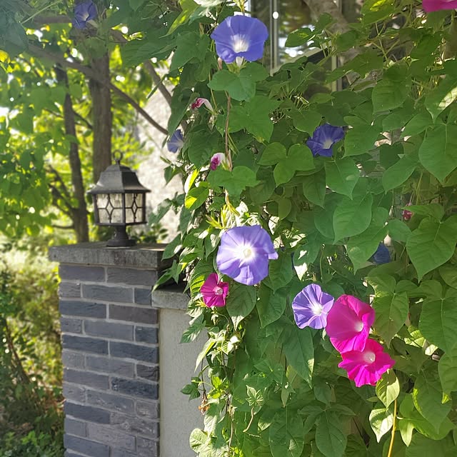 MARIE.color.interiorさんの実例写真