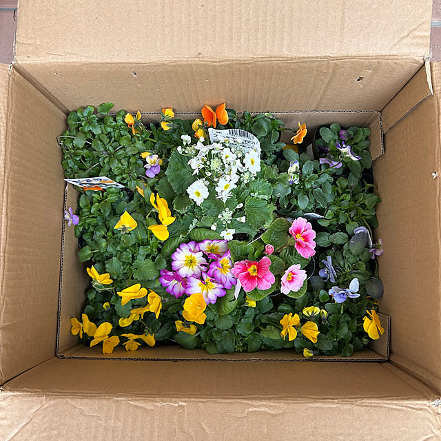 fumikoiさんの部屋