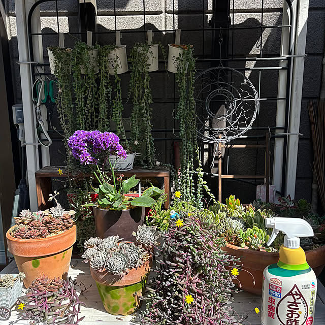 momocchiさんの部屋