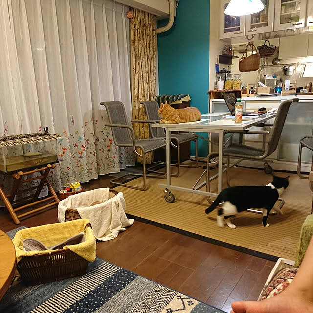 okyosan101さんの実例写真