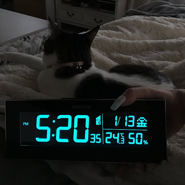Shihoさんの実例写真