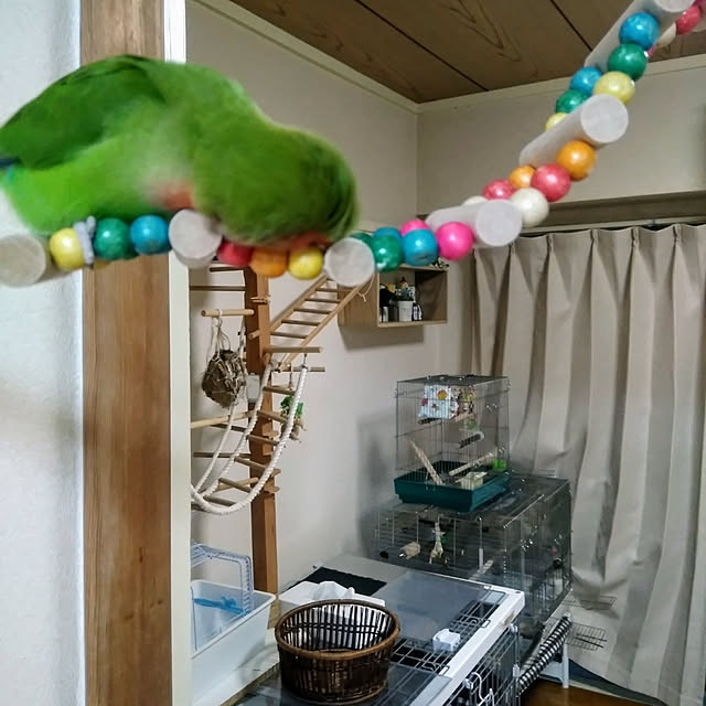 toratanさんの実例写真