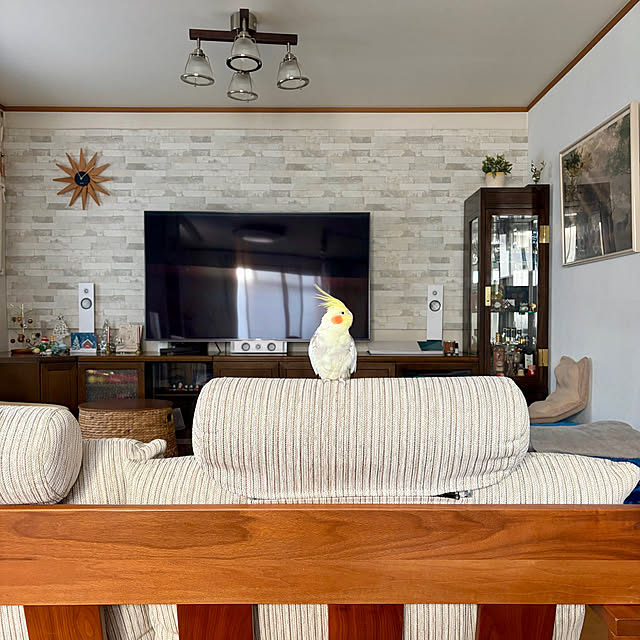 puriyuzuさんの実例写真