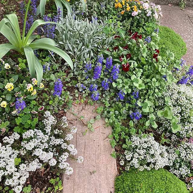 green.green.greenさんの部屋