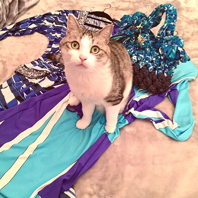 emmyyさんの実例写真