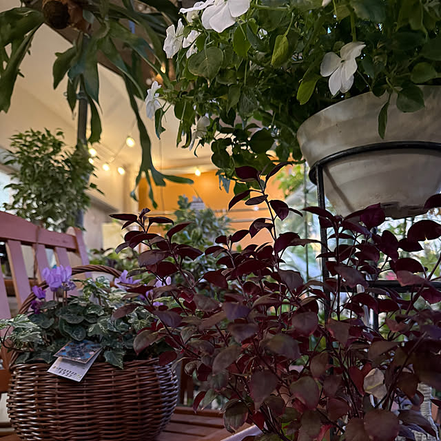 Aqettyさんの部屋