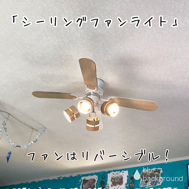 無言フォロー＆いいねOKです！/ターコイズブルー/西海岸インテリアに憧れ中/リビングのインテリア実例 - 2019-10-20 05:09:13