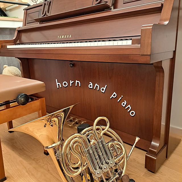 kankanmom_horn_5catsさんの部屋