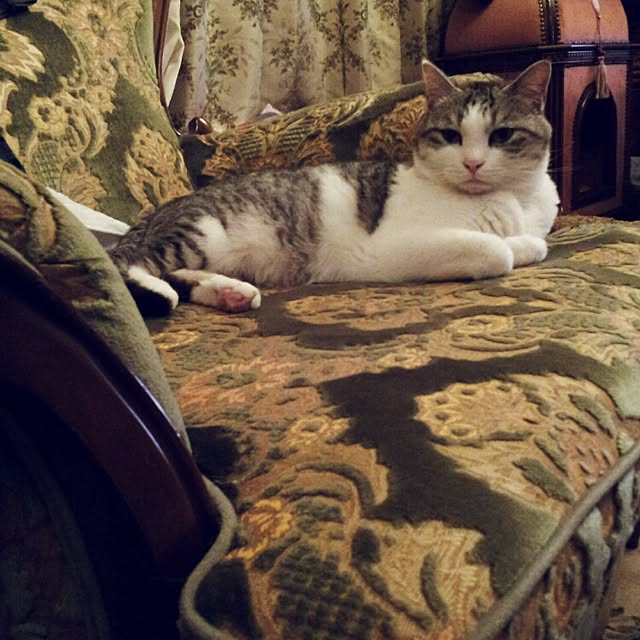 emmyyさんの実例写真