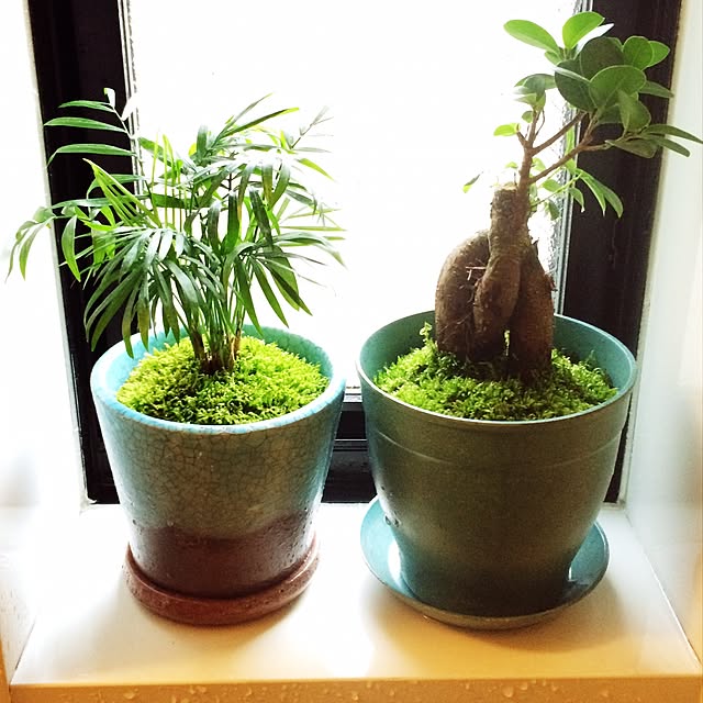 Kazuhiroさんの実例写真