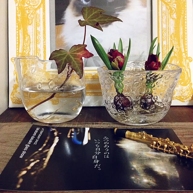 coroさんの実例写真