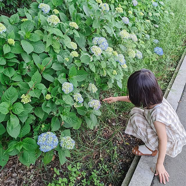mamenoさんの部屋