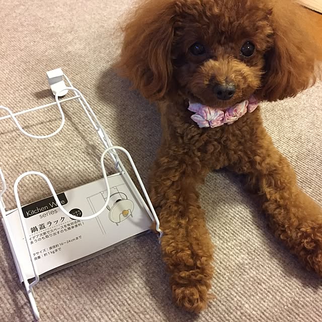 ISM.mumさんの実例写真