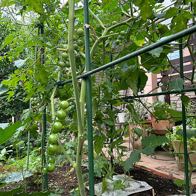 botanさんの部屋