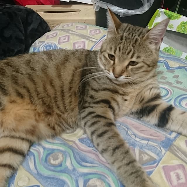 実例写真