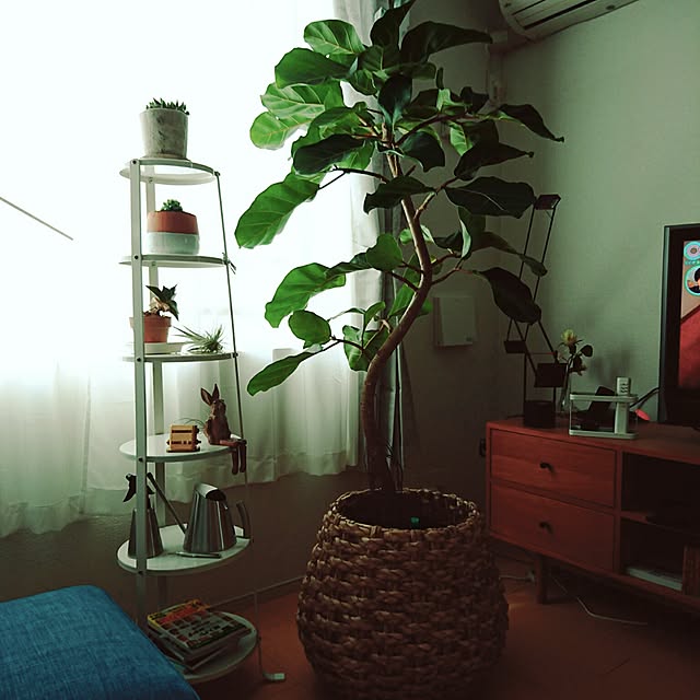g1367916さんの実例写真