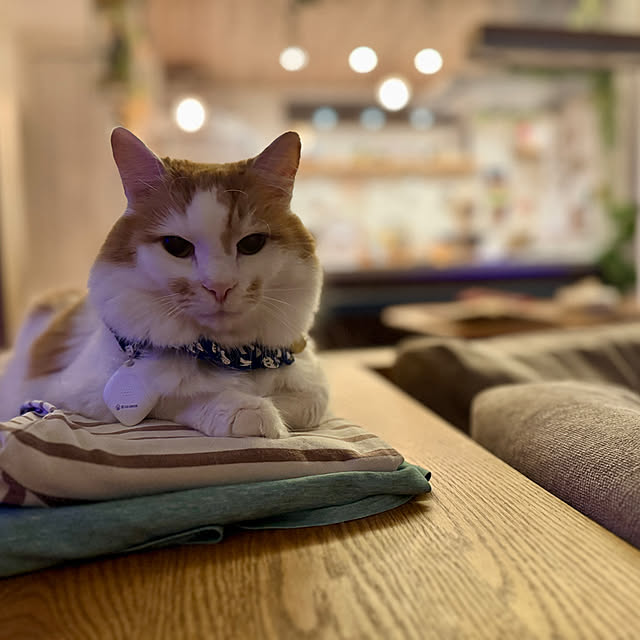 yutaさんの部屋