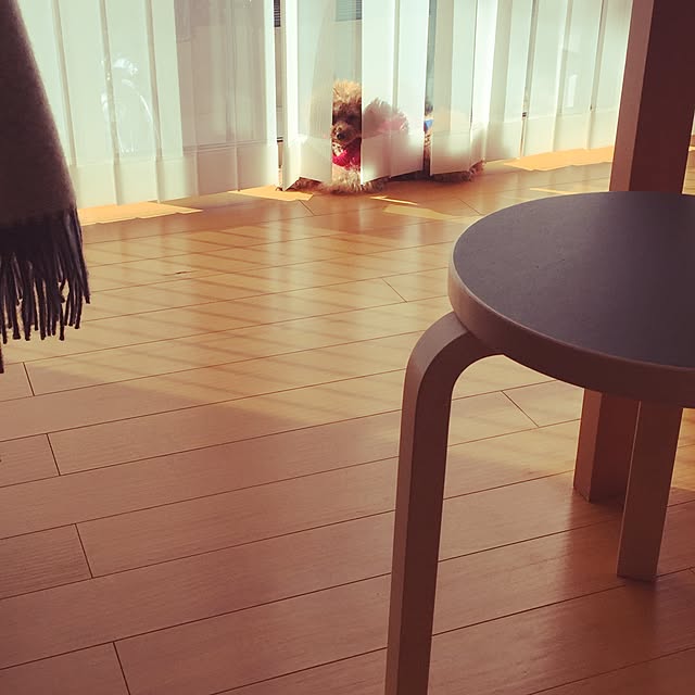 hitomiさんの実例写真