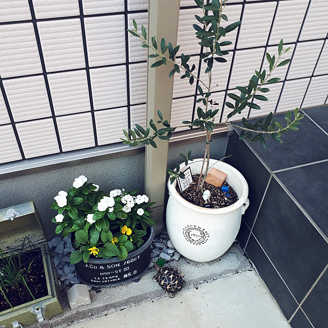 m.coccoさんの実例写真