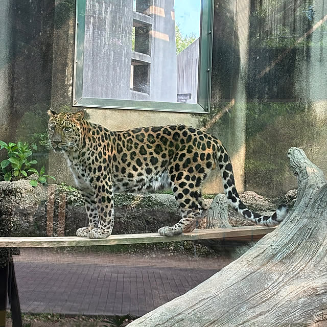 naokoさんの部屋