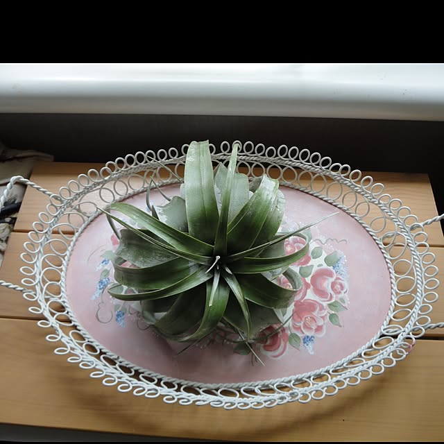 AcchanSaysさんの実例写真