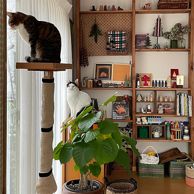 nobikoさんの部屋