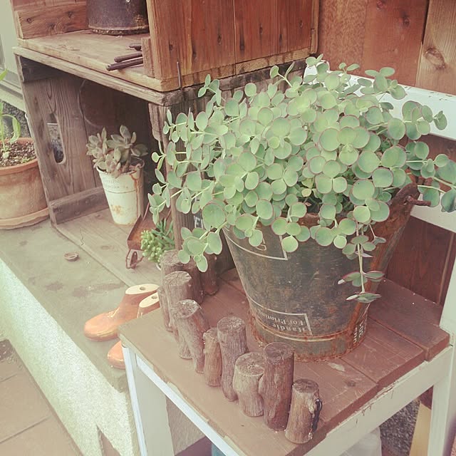 nonさんの実例写真