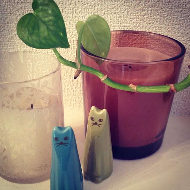yoccoさんの実例写真